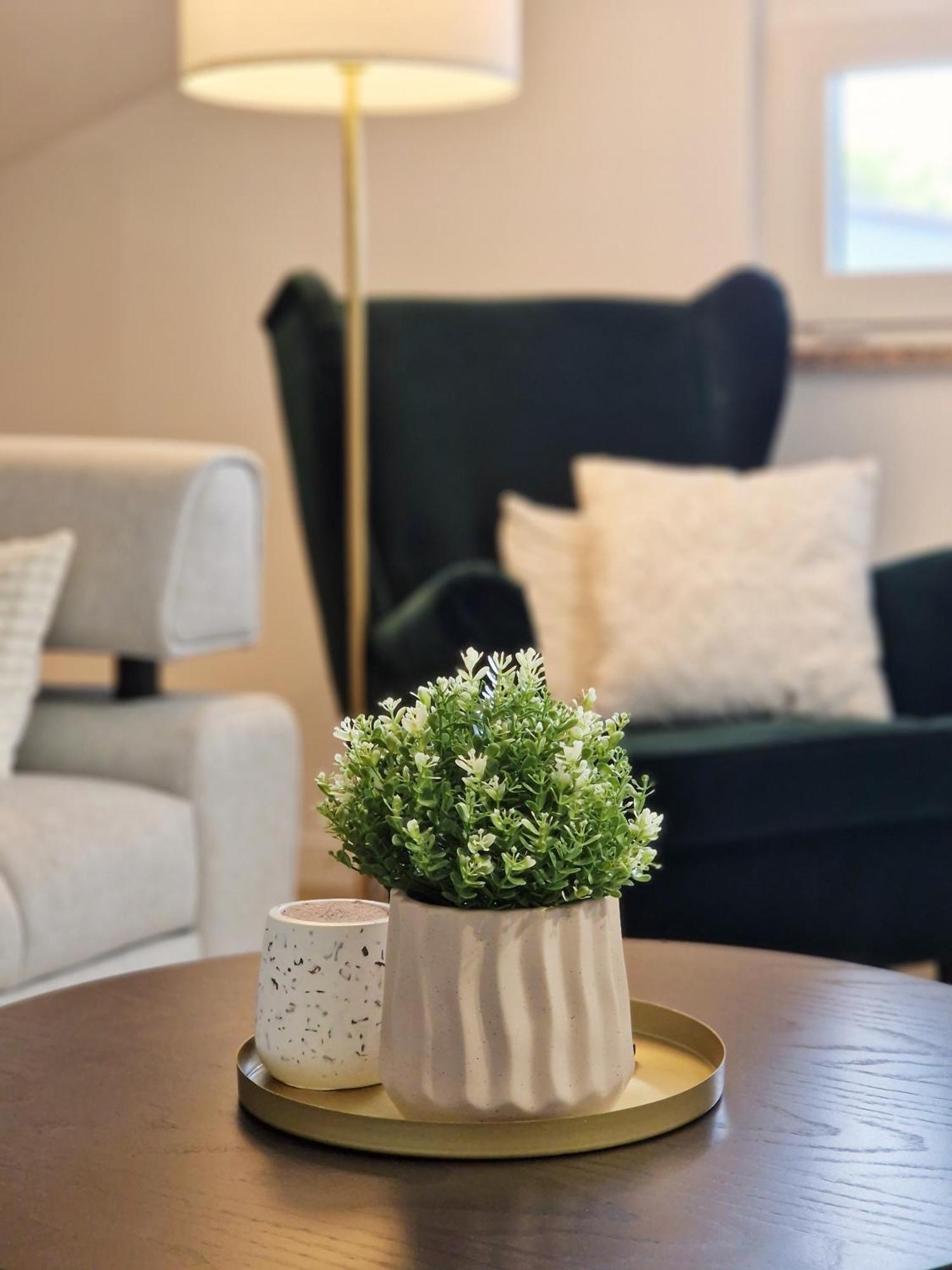 רוביני Apartments Jasna מראה חיצוני תמונה