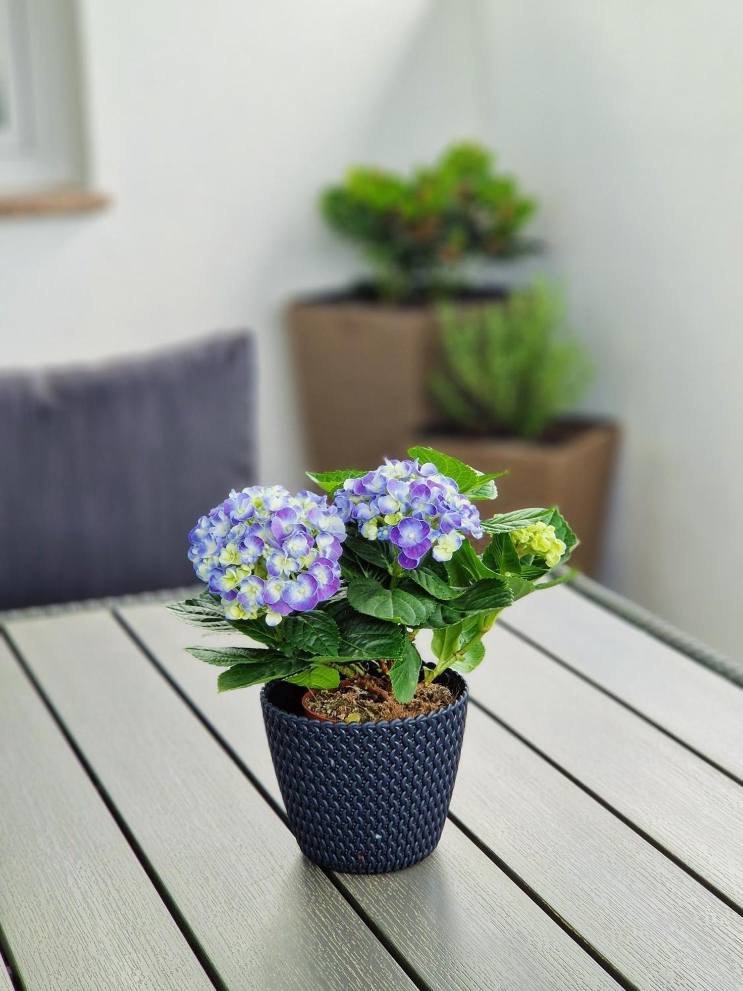 רוביני Apartments Jasna מראה חיצוני תמונה