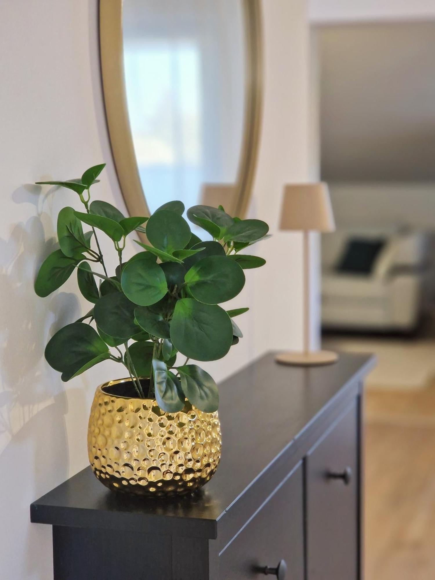 רוביני Apartments Jasna מראה חיצוני תמונה